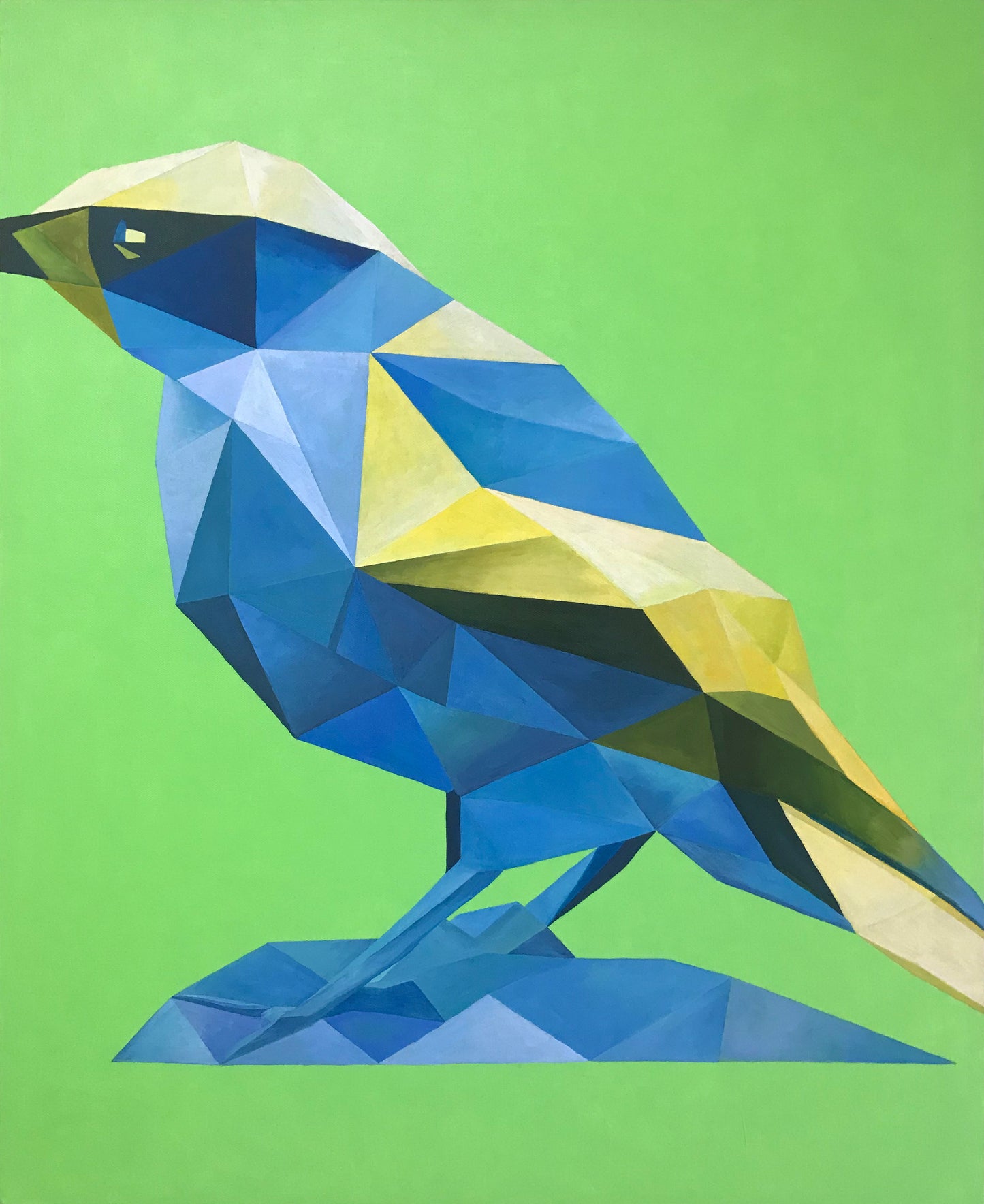 Bird / 名合貴洋