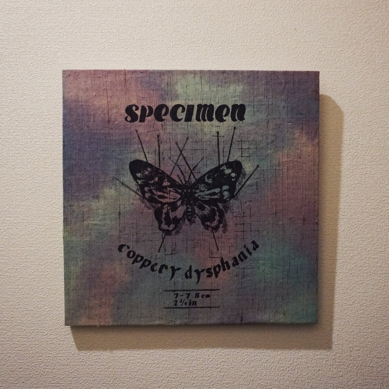 SPECIMEN art board / 中国 瑚白