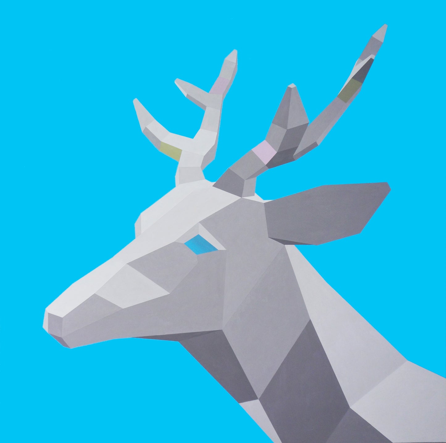 Deer / 名合貴洋
