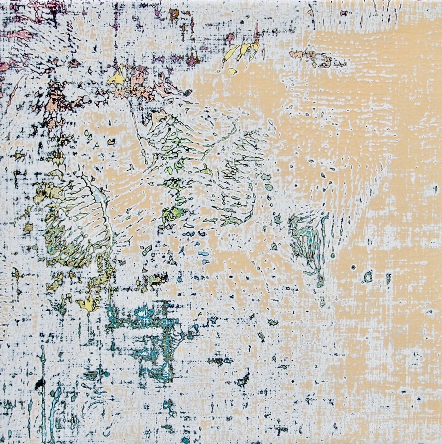 Layers of Color 1702 / 藤本英明