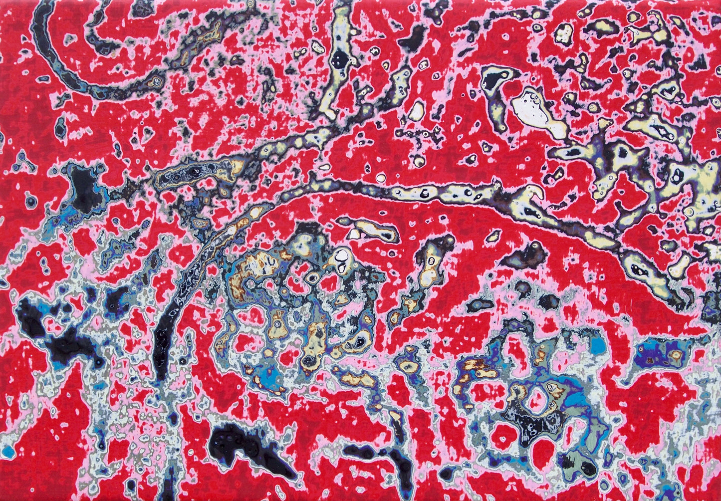 Layers of Color 2101 / 藤本英明