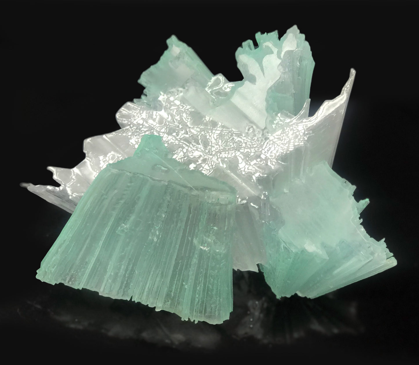 Plasticity_Pseudomorph_Experiment- P.P.E03 可塑仮晶 西風昼中 / 佐野 翠
