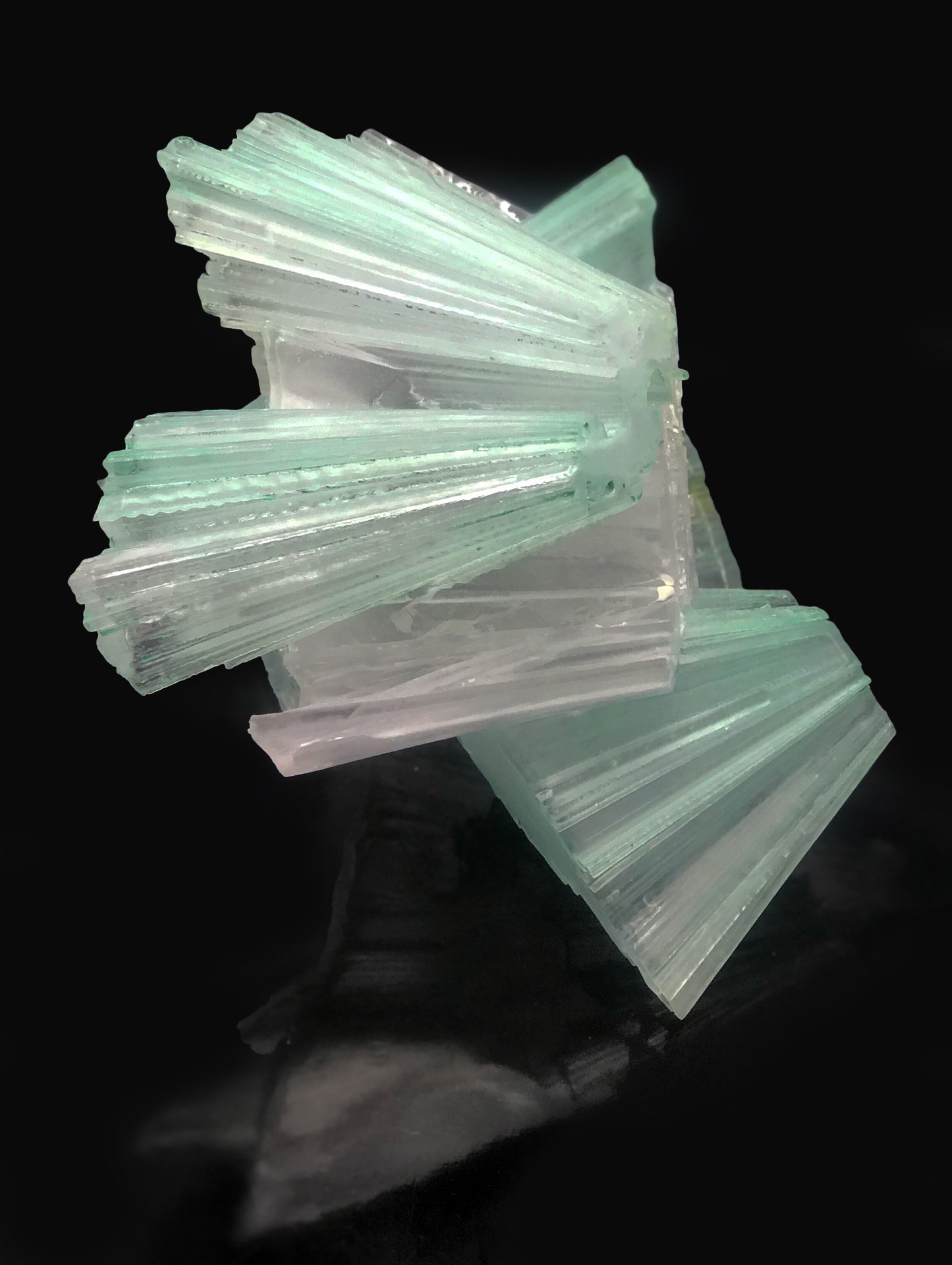 Plasticity_Pseudomorph_Experiment- P.P.E03 可塑仮晶 西風昼中 / 佐野 翠
