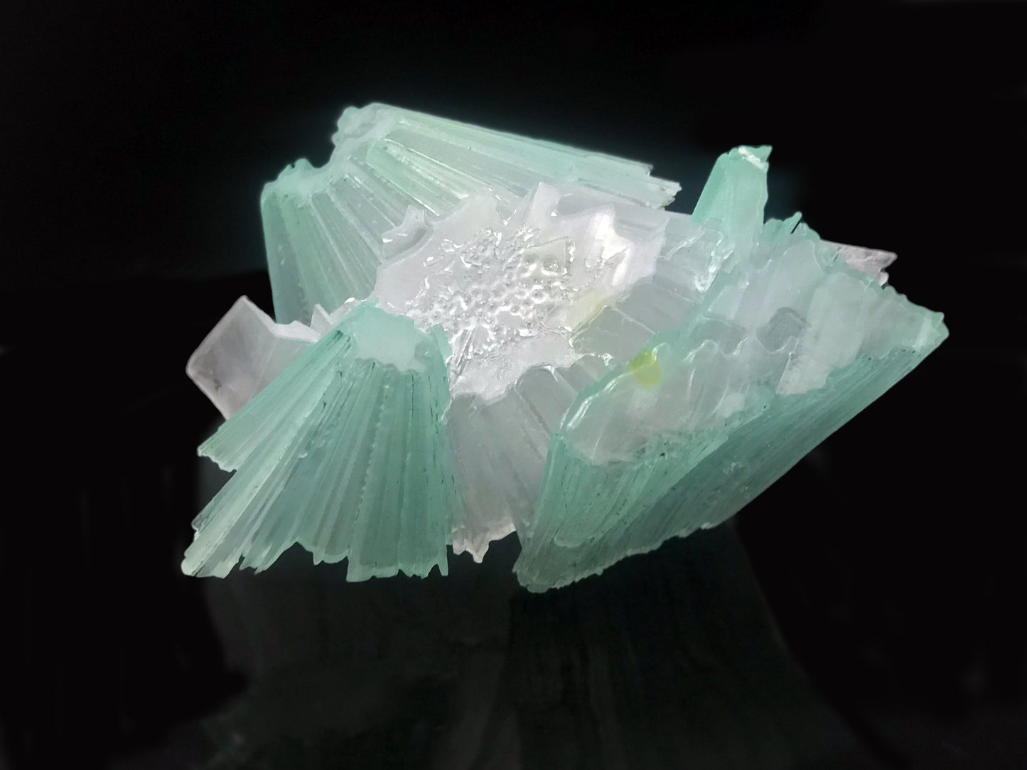 Plasticity_Pseudomorph_Experiment- P.P.E03 可塑仮晶 西風昼中 / 佐野 翠