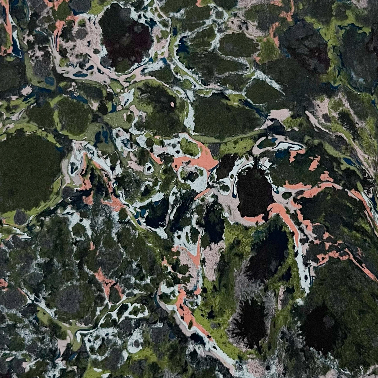 Untitled_01 / 川﨑 夏美