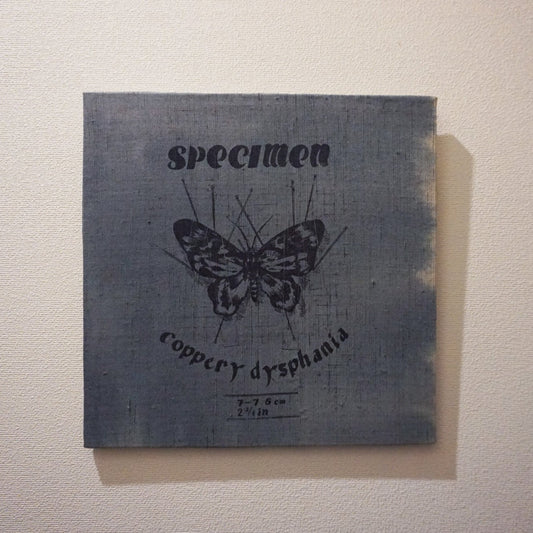 SPECIMEN art board / 中国 瑚白