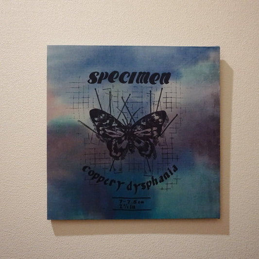 SPECIMEN art board / 中国 瑚白